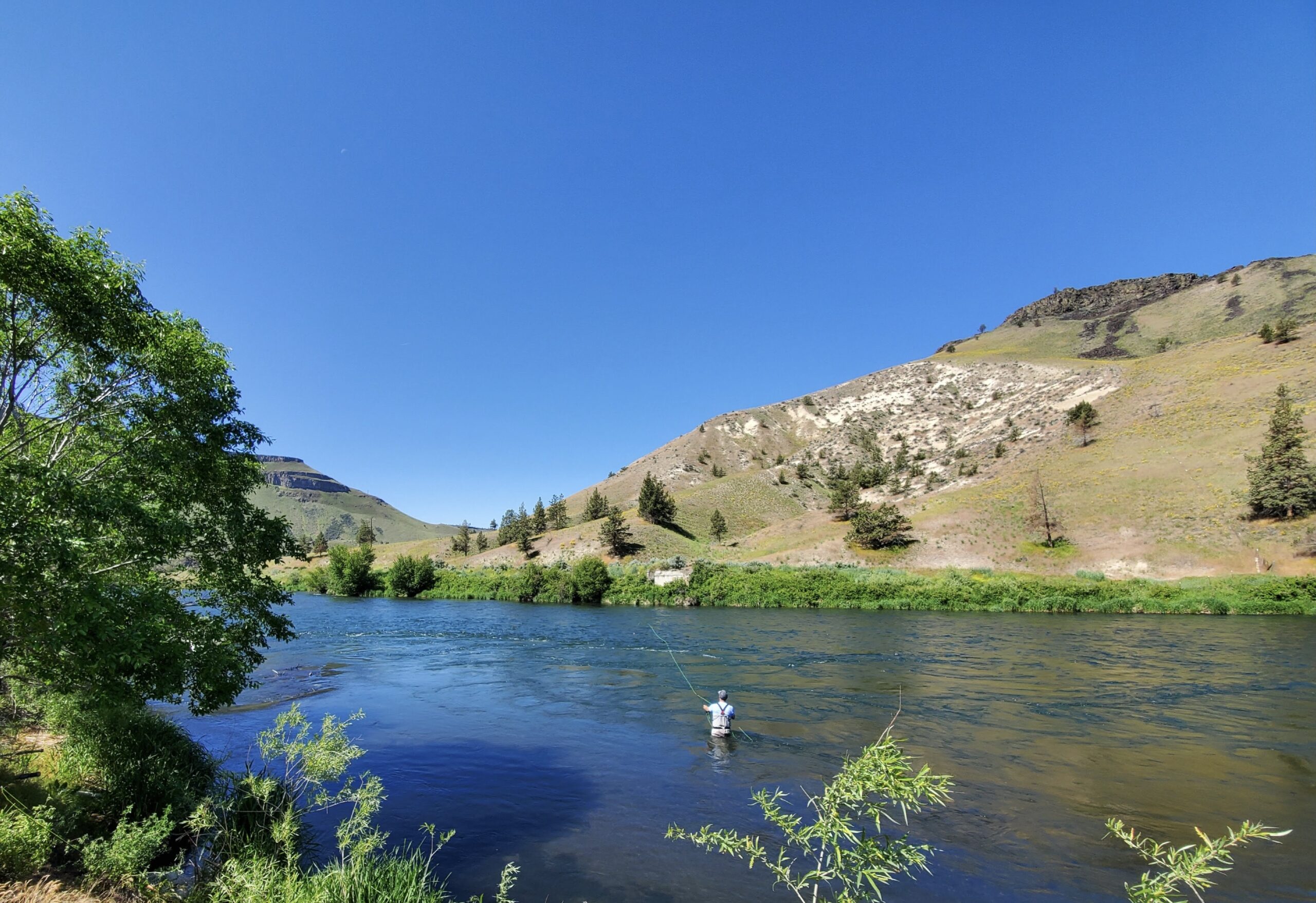 casting spring fishing