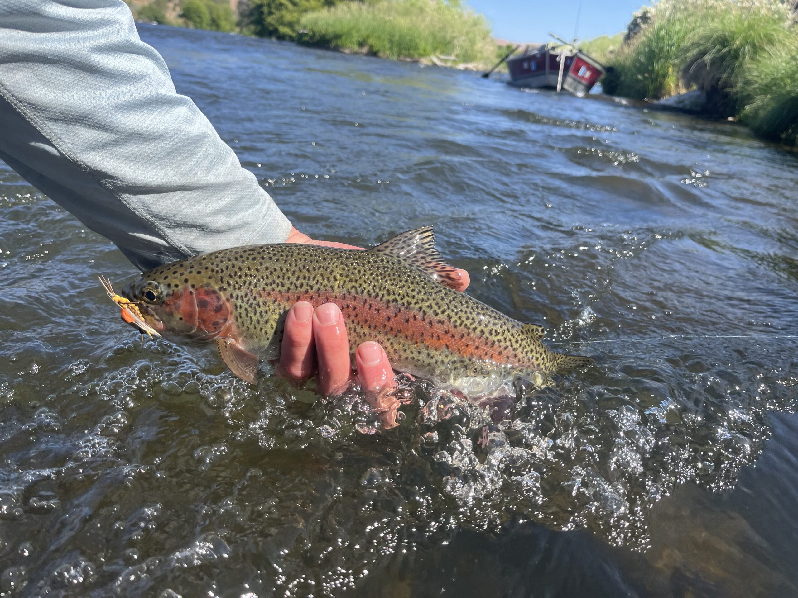 float trip dry fly